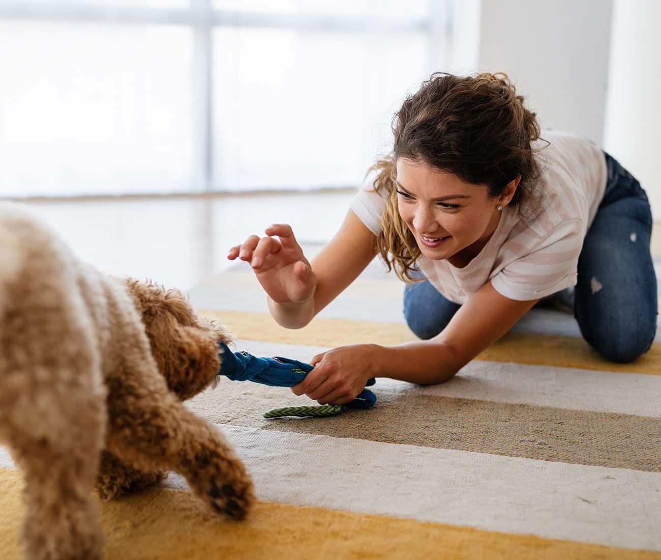 A woman kneels on a striped rug, smiling as she plays tug-of-war with a fluffy brown dog using a blue toy.